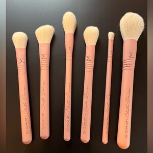 Sigma x Christine Dominique brush set